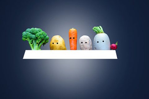 上海注册公司食品经营许可申请材料！