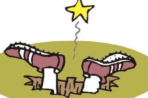 公司注册代理的坑这么多？一不小心就中招！