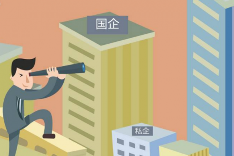 上海公司注册有哪些类型可以选择?